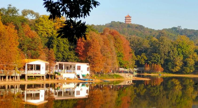 踔厲奮發 擔當作為 譜寫新時代住房保障事業新篇章